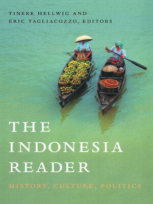 cover image of The Indonesia Reader